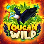 Toucan Wild